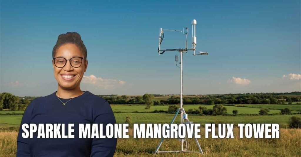 Sparkle Malone Mangrove Flux Tower