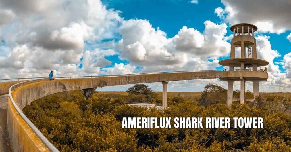 AmeriFlux Shark River Tower